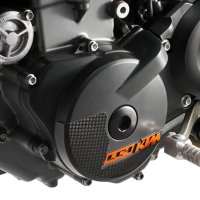  CARBON IGNITION COVER PROTECTION（カーボンイグニッションカバープロテクター）