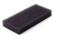  FOAM（フォーム）