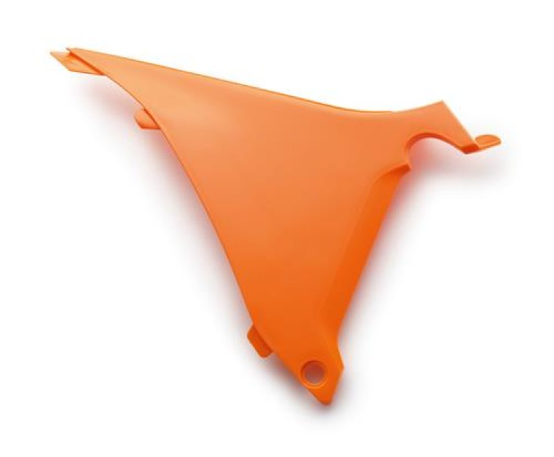 画像1: AIR FILTER PANEL 2011-2013 (1)