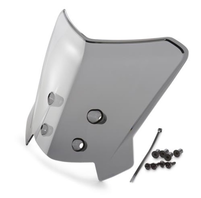 画像1: WINDSHIELD, TOURING CMPL. (1)