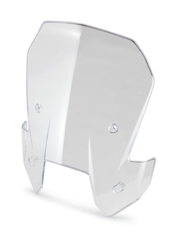 画像1: WINDSHIELD EU CPL. (1)