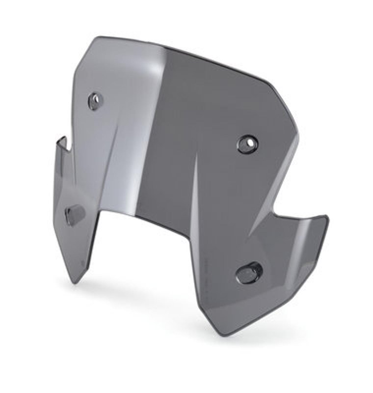 画像1: WINDSHIELD R (1)