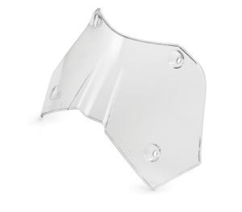 画像1: WINDSHIELD, LOW (1)