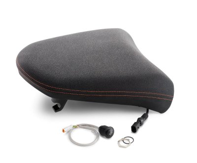 画像1: ERGO PILLION SEAT