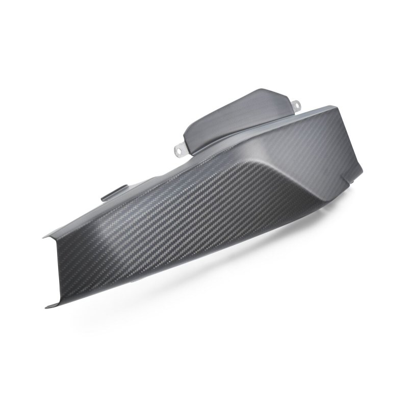 画像1: SWINGARM PROTECTION (1)