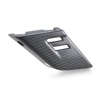 REAR SPROCKET PROTECTION