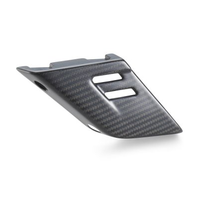 画像1: REAR SPROCKET PROTECTION