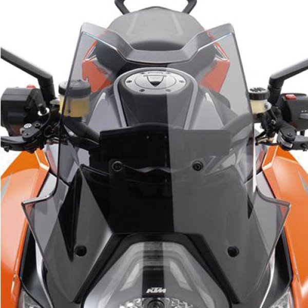 画像3: Windscreen (3)