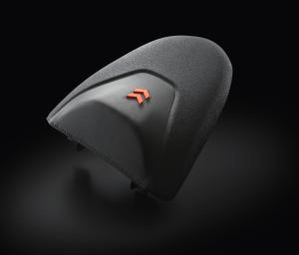 画像2: ERGO PILLION SEAT (2)