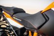 画像2: ERGO PILLION SEAT (2)