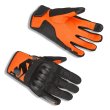 画像1: STREET EVO K-HYDRATECH GLOVES (1)